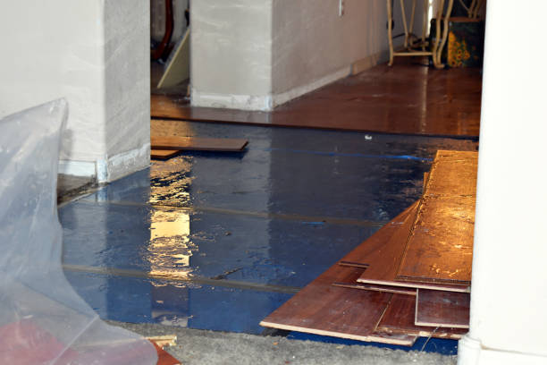Professional Water Damage Restoration technician working in Gibson, TN